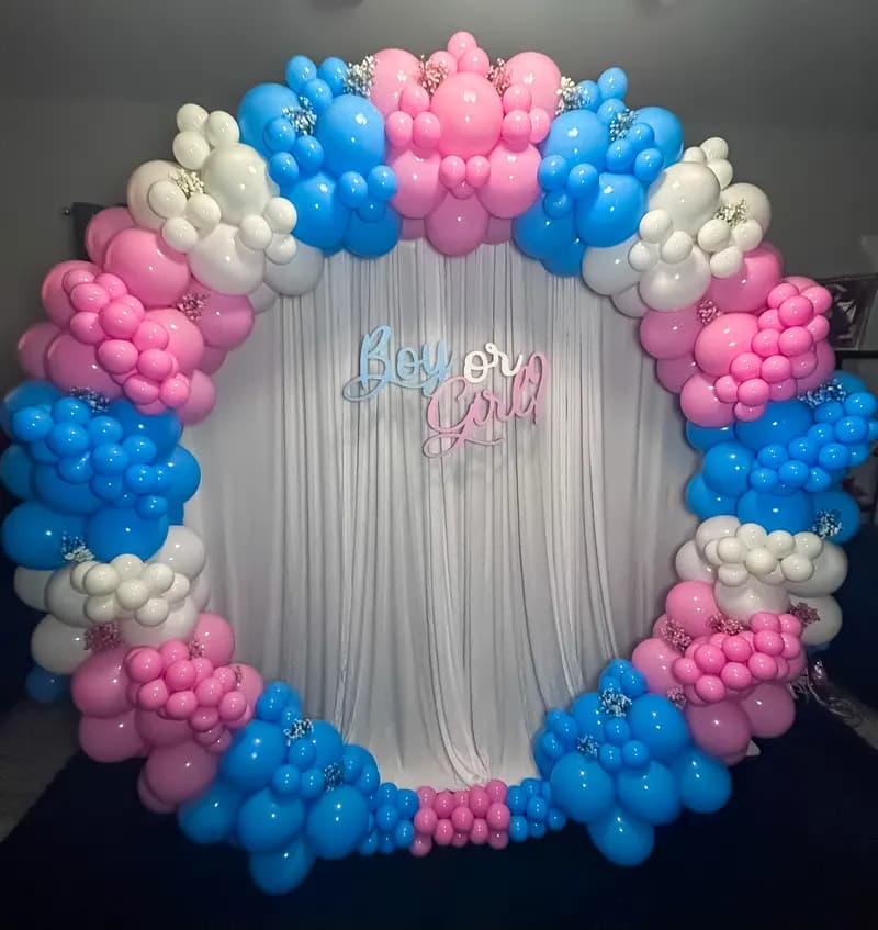 Pink, blue and white balloon ring around a 'Boy or Girl' gender reveal backdrop